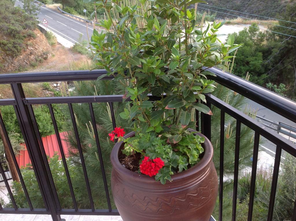 Appartement Ta Spitakia Tis Theodosias à Kalopanagiotis Extérieur photo