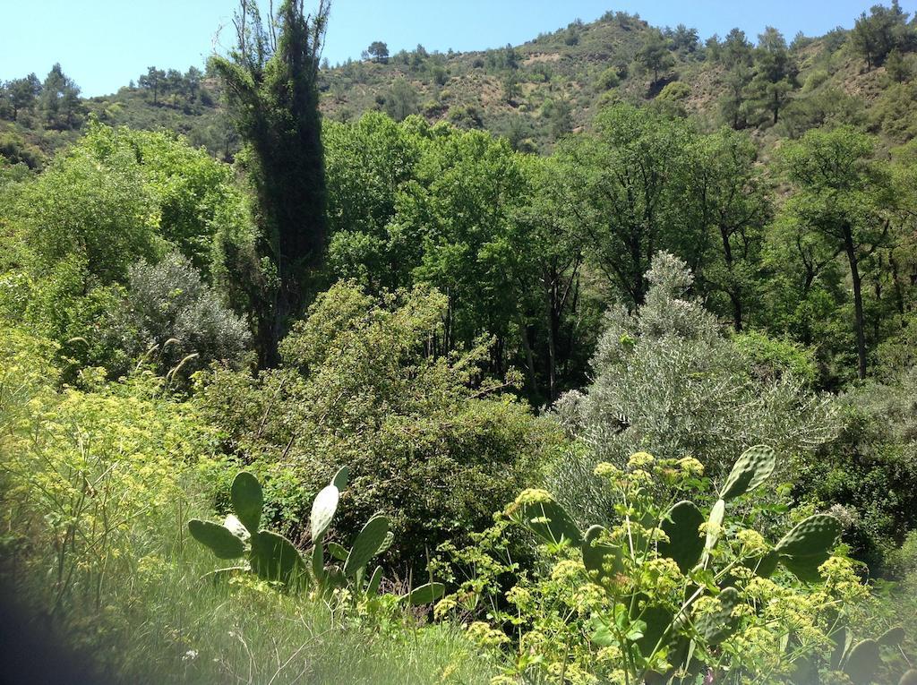 Appartement Ta Spitakia Tis Theodosias à Kalopanagiotis Extérieur photo